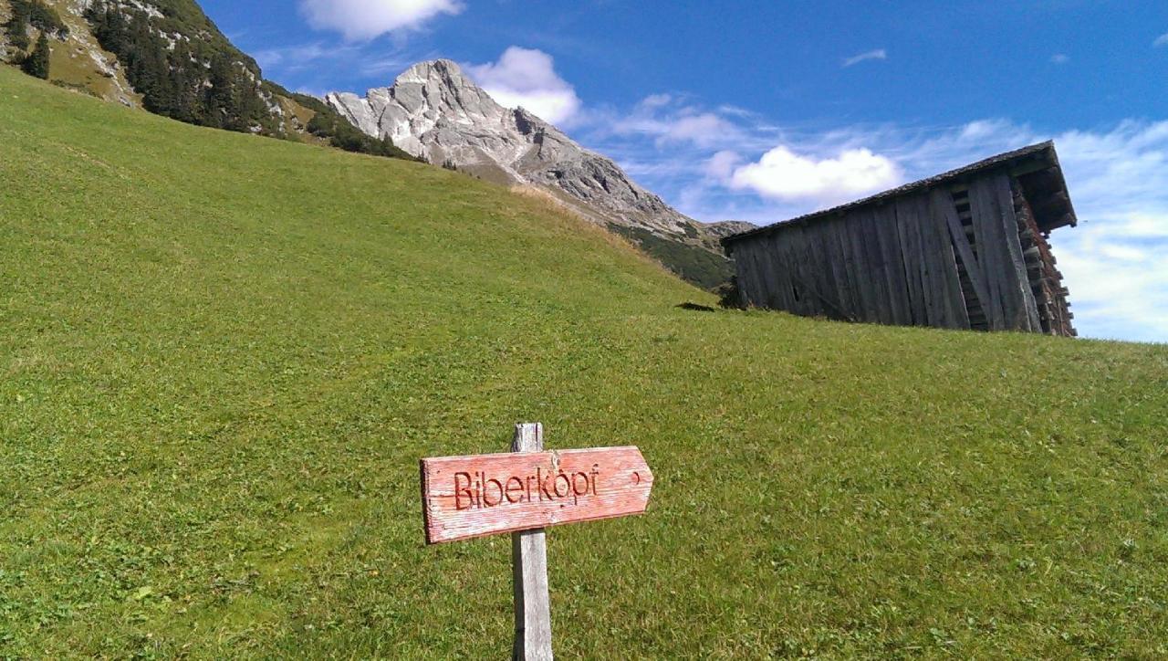 Lech Valley Chalet *
